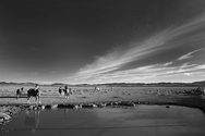 Horses Pond Clouds 1145