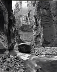 Zion Narrows Rock 049