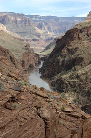 Grand Canyon From Deer Creek 9805