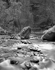 Narrows North Fork