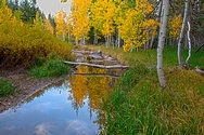 Duck Creek Fall Reflection 5068